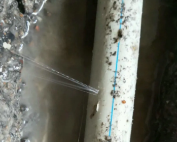 尉犁卫生间测漏水多少钱